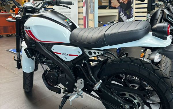 Fahrschule Team Neumann in 29633 Munster - Yamaha XSR 125